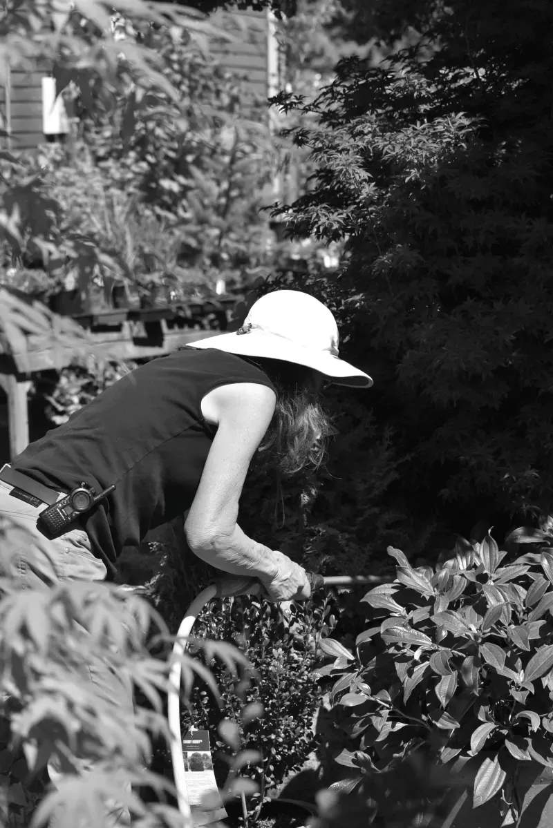 Gartenpflege für Unternehmen und Wohnanlagen: Worauf es im März ankommt