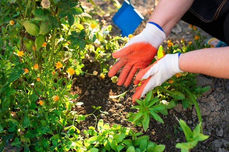 Grünraum Gartenpflege GmbH 15